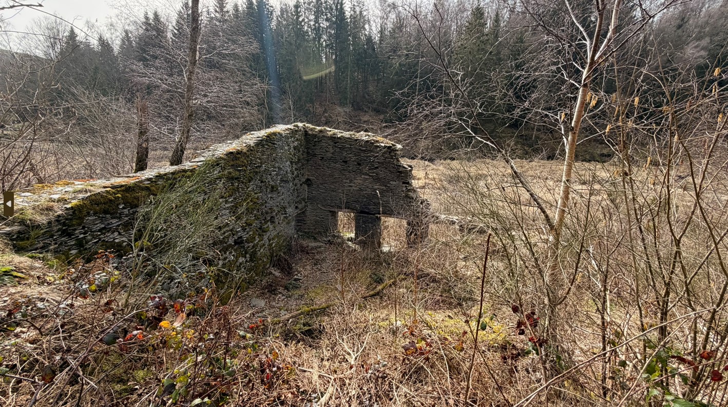 Historische ruïnes in het bos